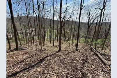 0 Gravois Road, House Springs, MO 63051 - Photo 13