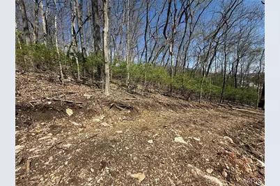 0 Gravois Road, House Springs, MO 63051 - Photo 23