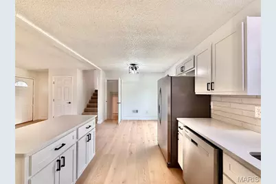 100 Pelican Drive, Park Hills, MO 63601 - Photo 5