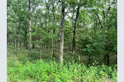 556 Waterford Road, Gerald, MO 63037 - Photo 7