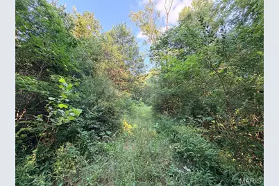 44.26 +/- Highway K, Sullivan, MO 63080 - Photo 29