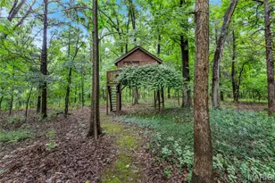 9 Wilderness Ln, Defiance, MO 63341 - Photo 51