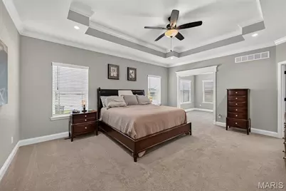155 Pomodora Circle, Wentzville, MO 63385 - Photo 21