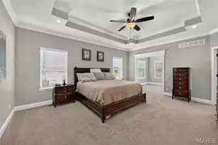 155 Pomodora Cir, Wentzville, MO 63385 - Photo 21