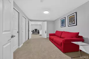 587 Eagle Manor Ln, Saint Louis, MO 63017 - Photo 43