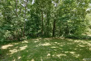 141 Sun Haven Dr, Silex, MO 63377 - Photo 63