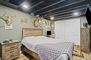 10570 Glen Oaks Dr, Festus, MO 63028 - Photo 37