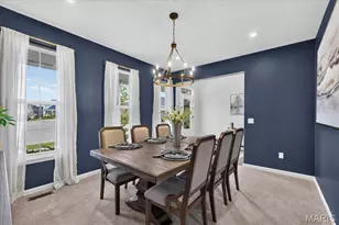 906 Memsie Pk Ct, O'Fallon, MO 63368 - Photo 5