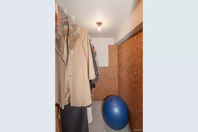5929 Woodbrook Drive, Saint Louis, MO 63129 - Photo 67