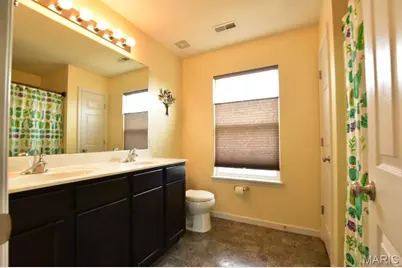 46 Red Brook Court, O'Fallon, MO 63366 - Photo 19