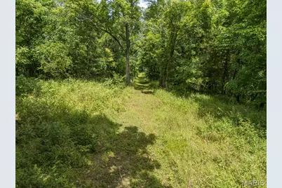 2865 Mammoth Woods Trail, De Soto, MO 63020 - Photo 43