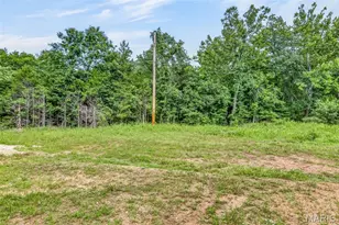2865 Mammoth Woods Trail, De Soto, MO 63020 - Photo 27