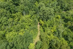 2865 Mammoth Woods Trail, De Soto, MO 63020 - Photo 41