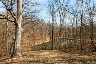 1 River Bend Dr, Fenton, MO 63026 - Photo 67