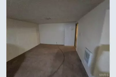 1738 Beecher Drive, Saint Louis, MO 63136 - Photo 11