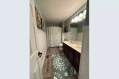 117 Fox Haven Drive, O'Fallon, MO 63368 - Photo 29
