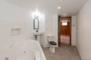 9211 Alpine Dr, Affton, MO 63123 - Photo 61