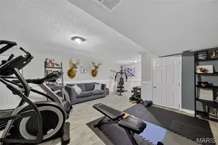 21 Dijon Ct, Lake Saint Louis, MO 63367 - Photo 61
