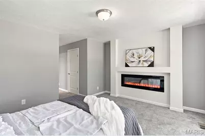 2734 Geyer Avenue, Saint Louis, MO 63104 - Photo 41