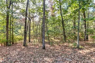 100 Hickory Ln, Festus, MO 63028 - Photo 83