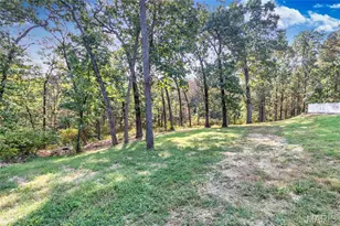 100 Hickory Ln, Festus, MO 63028 - Photo 81