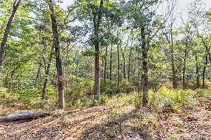 100 Hickory Ln, Festus, MO 63028 - Photo 85