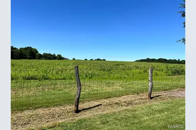 46.22 Acres M/L On Highway H, Silex, MO 63377 - Photo 1