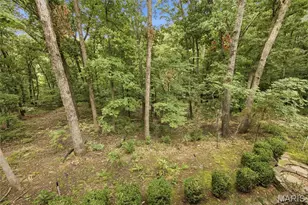 19463 Babler Forest Rd, Wildwood, MO 63005 - Photo 5