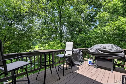 9 Lockhaven Court #9, Lake Saint Louis, MO 63367 - Photo 59