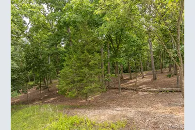 463 Foxfire Crossing Drive, Innsbrook, MO 63390 - Photo 13