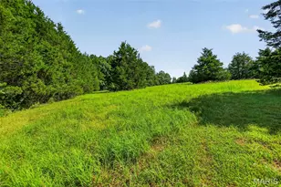 10439 Honeystone Rd, Catawissa, MO 63015 - Photo 29