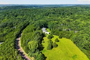 10439 Honeystone Rd, Catawissa, MO 63015 - Photo 31