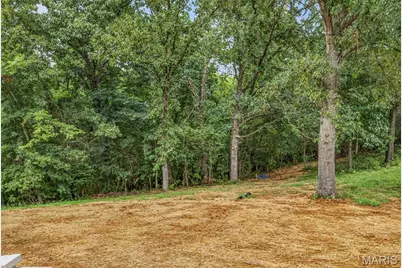 1527 Koch Lane, De Soto, MO 63020 - Photo 5