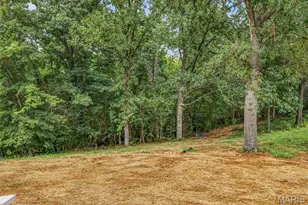 1527 Koch Ln, De Soto, MO 63020 - Photo 5