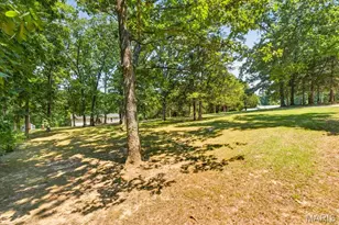 5572 Timberline Cir, Hillsboro, MO 63050 - Photo 55