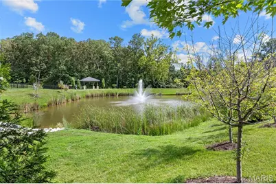 504 Greengage Timber Drive, O'Fallon, MO 63368 - Photo 3