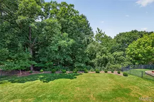 509 Audubon Village Spur, Wildwood, MO 63040 - Photo 59