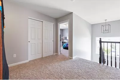 228 Burrograss Drive, Wentzville, MO 63385 - Photo 23