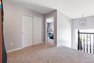 228 Burrograss Dr, Wentzville, MO 63385 - Photo 23