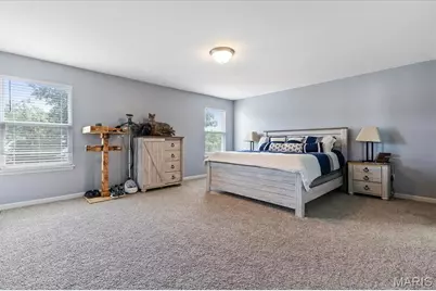 228 Burrograss Drive, Wentzville, MO 63385 - Photo 19