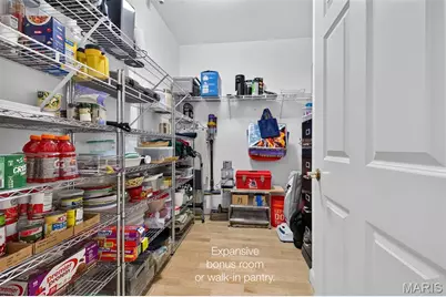 110 N Newstead Avenue #103, Saint Louis, MO 63108 - Photo 43