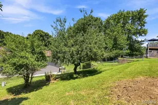12235 Spring Shadow Ct, Unincorporated, MO 63043 - Photo 55