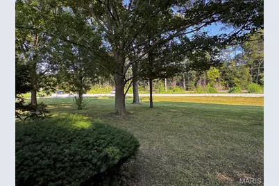 20249 Highway Uu, Louisiana, MO 63353 - Photo 11