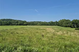 225 Valley View (Lot 29) Dr, Hawk Point, MO 63349 - Photo 1