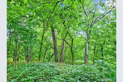 225 Valley View (Lot 29) Drive, Hawk Point, MO 63349 - Photo 5
