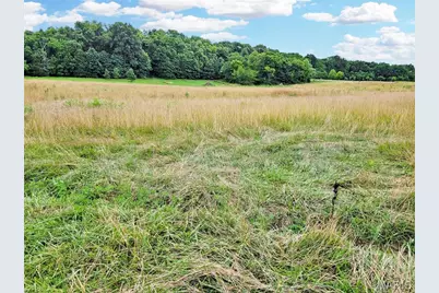 225 Valley View (Lot 29) Drive, Hawk Point, MO 63349 - Photo 3