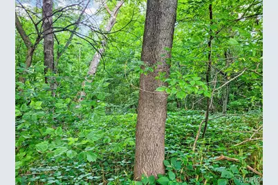 225 Valley View (Lot 29) Drive, Hawk Point, MO 63349 - Photo 11