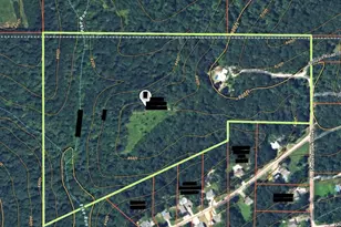 1776 Liberty Ln, Valles Mines, MO 63087 - Photo 81