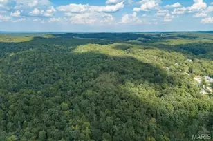 1776 Liberty Ln, Valles Mines, MO 63087 - Photo 71