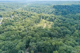 1776 Liberty Ln, Valles Mines, MO 63087 - Photo 79